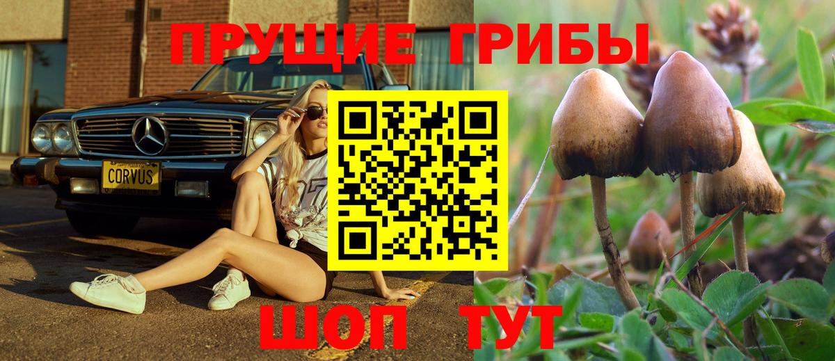 Псилоцибиновые грибы ЛСД Сегежа
